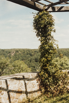 Vorschaubild Burg Falkenstein, Harz (Foto 1990)